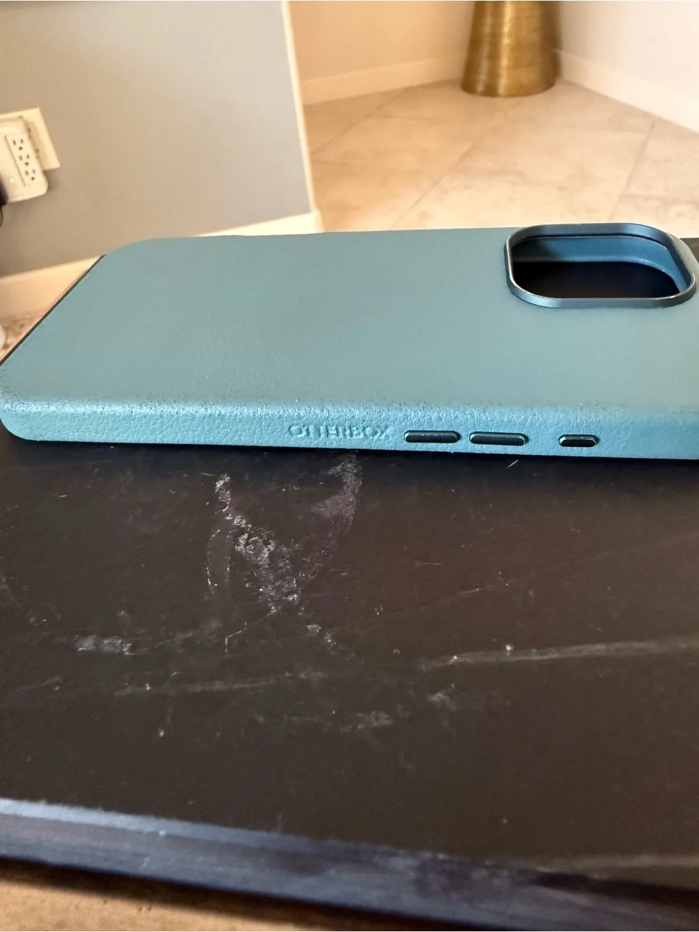 Symmetry Cactus Leather MagSafe Case by OtterBox - Teal Green